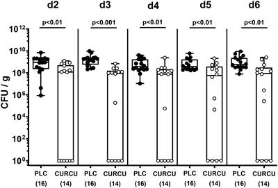 Oral curcumin ameliorates acute murine campylobacteriosis